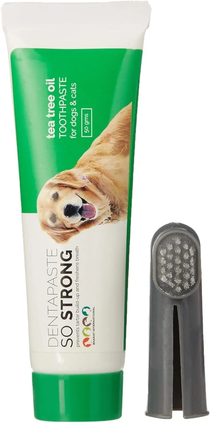 خمیر دندان روغن درخت چای بسیار قوی مراقبت از دندان به همراه برس برای سگ و گربه 50 گرم