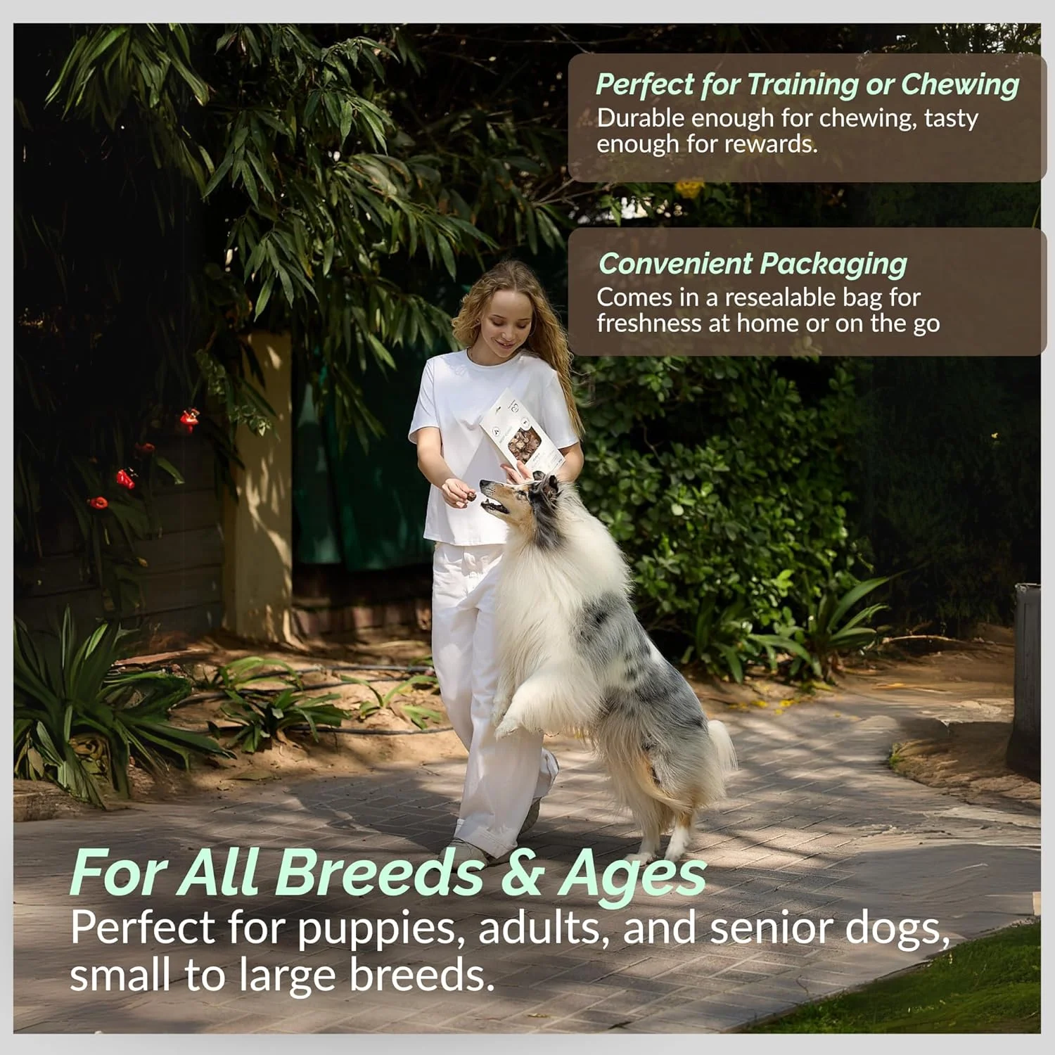 تشویقی دندانی سگ - استیک گوشت گاو تک ماده، جویدنی طبیعی ماندگار برای سگ ها (نژادهای کوچک، متوسط ​​و بزرگ توله سگ 3+ ماه)، تشویقی بدون غلات برای حیوانات خانگی، 100 گرم