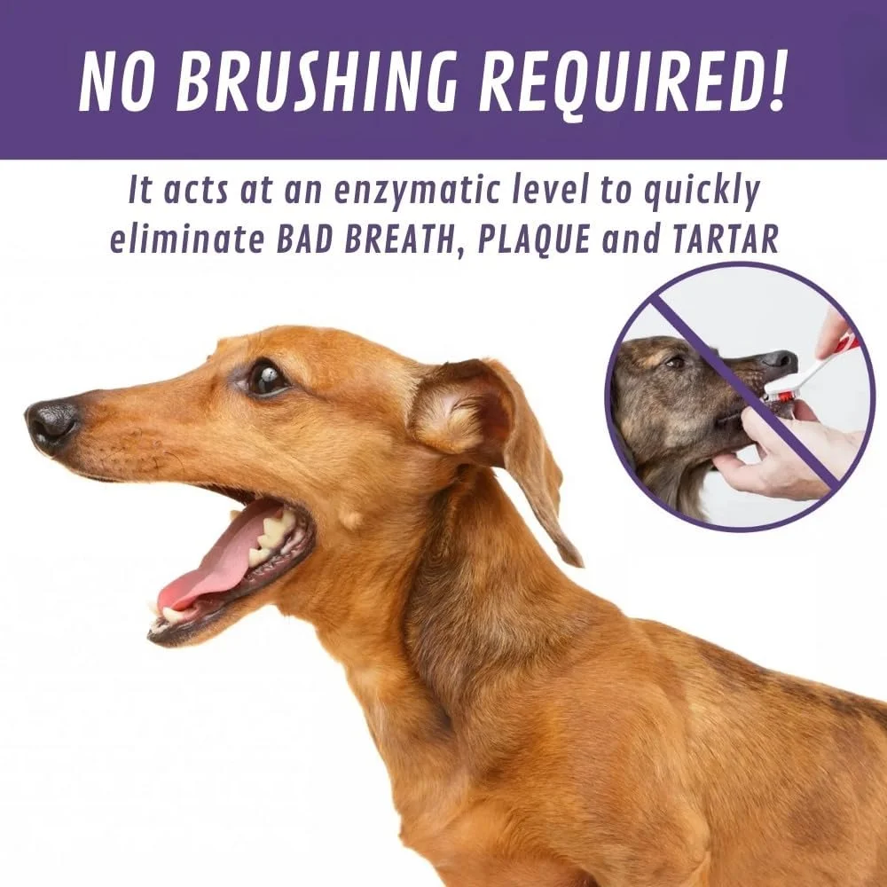 اسپری دهان برای سگ و گربه، از بین برنده بوی بد دهان، پلاک و جرم دندان، 250 میلی لیتر