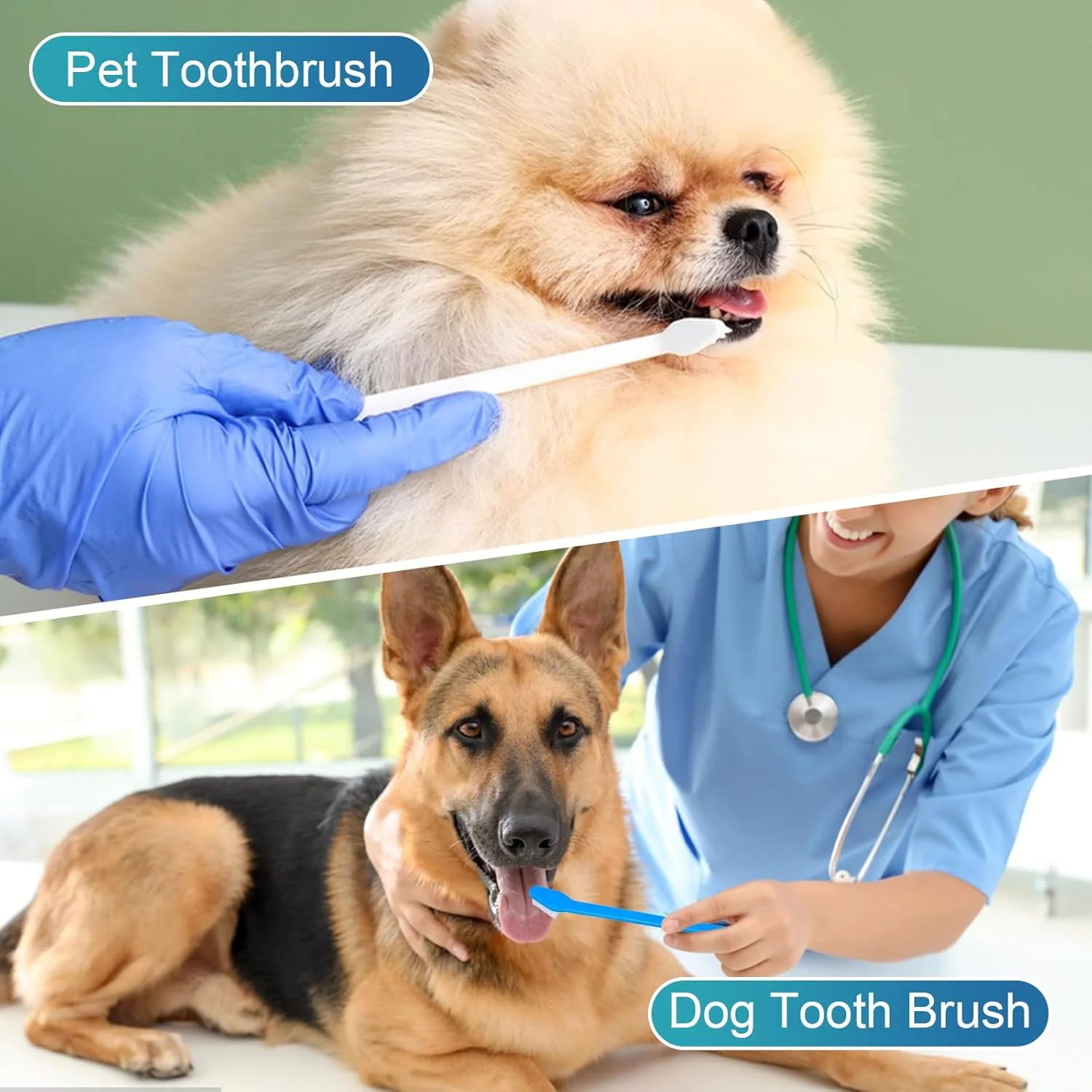 مسواک سگ ناونا 30 عددی، کیت مسواک زدن دو سر ضد لغزش سگ، مسواک گربه، مسواک حیوانات خانگی برای سگ ها، تمیز کردن و مراقبت آسان از دندان ها، مناسب برای سگ ها و گربه های کوچک تا بزرگ