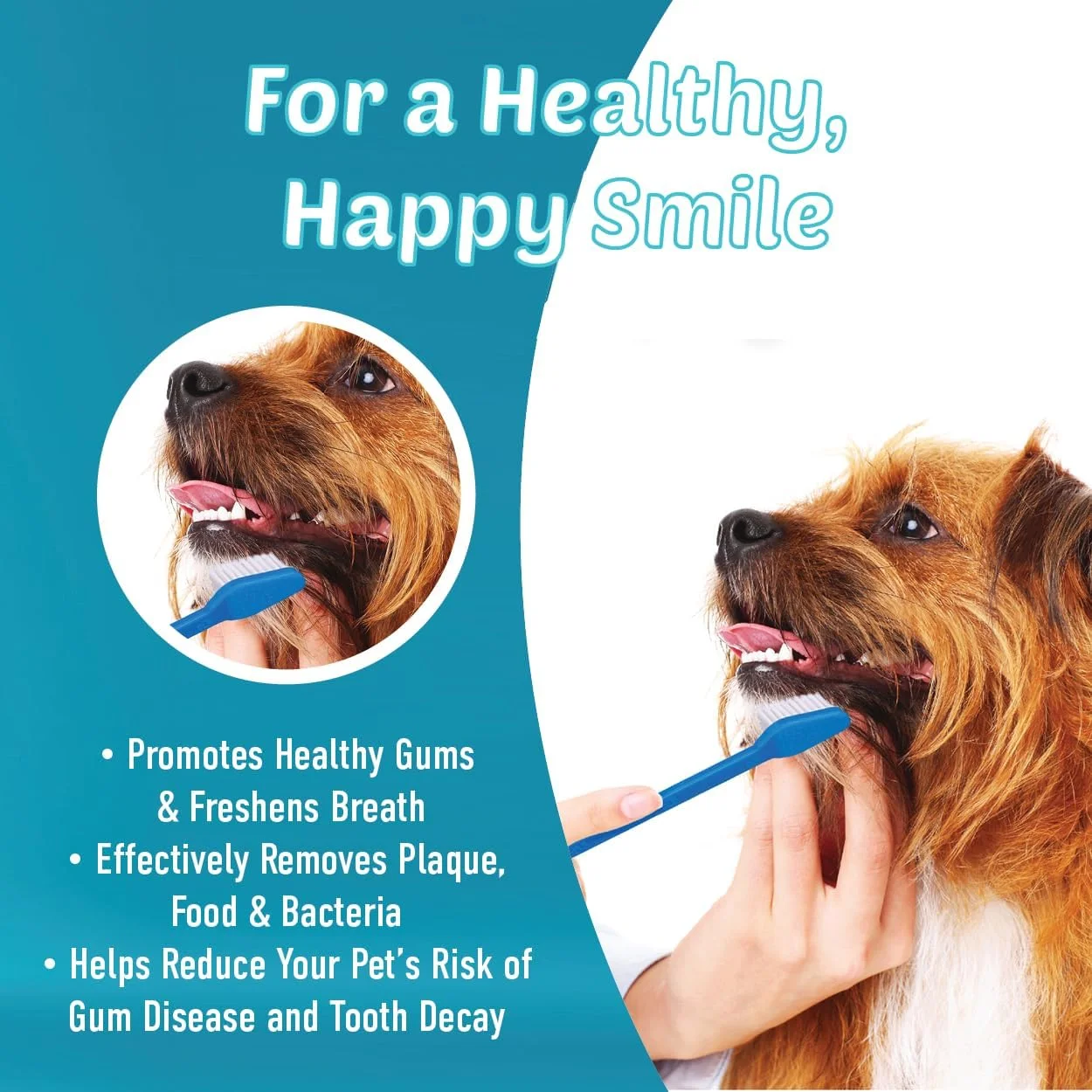 ست مسواک سگ، مسواک دو طرفه حرفه ای برای نظافت سگ و گربه، مناسب دندان های بزرگ و کوچک