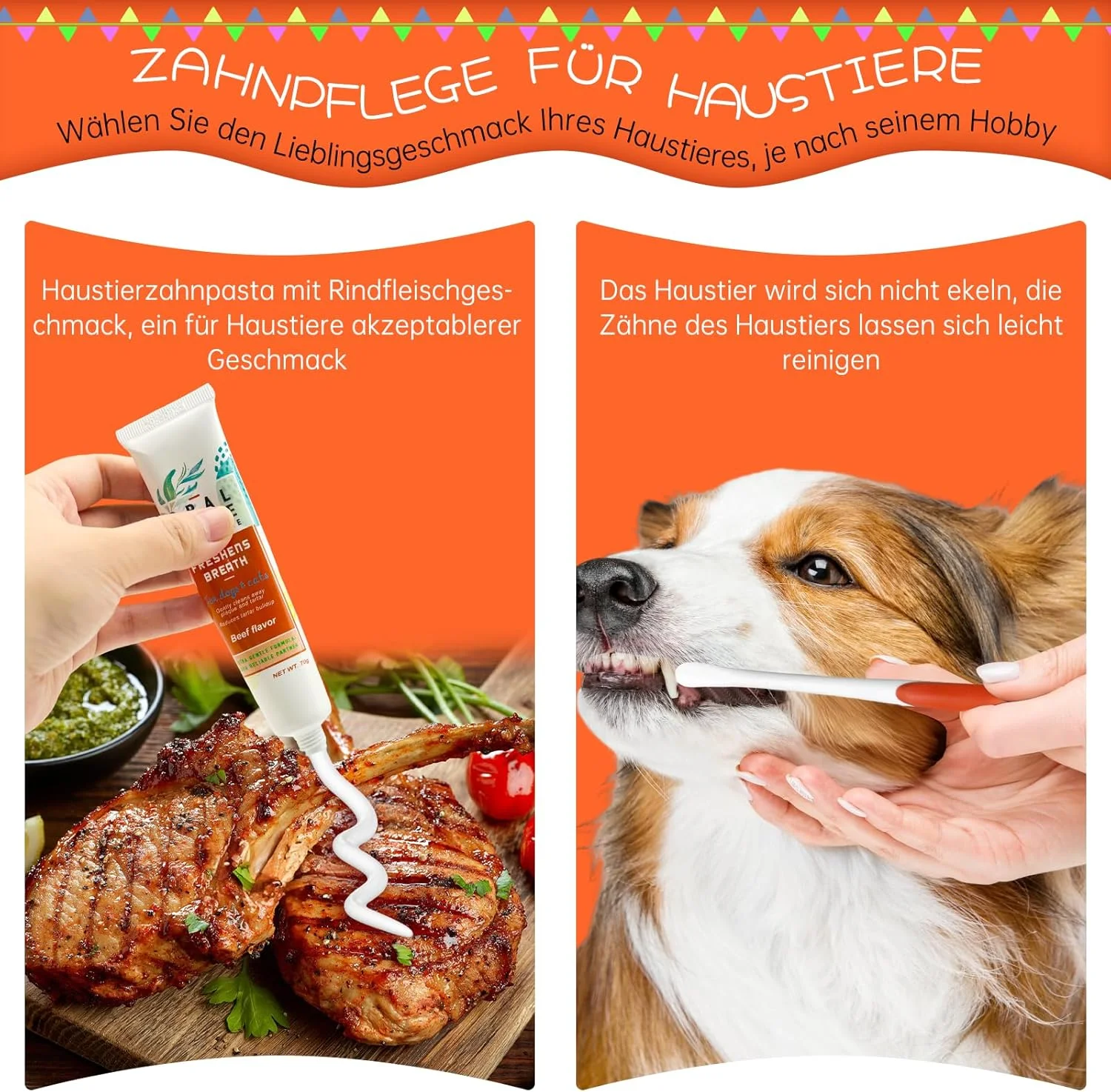 خمیر دندان سگ برای از بین بردن جرم، به همراه مسواک و مسواک انگشتی، از بین برنده پلاک و بوی بد دهان