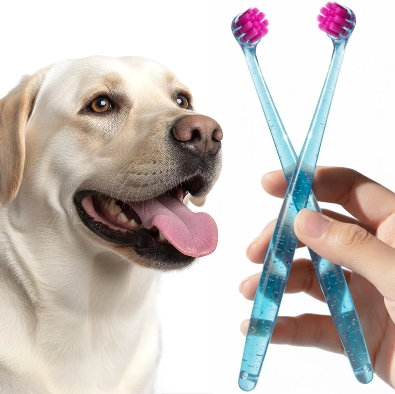 مسواک بزرگ سگ، ست 2 عددی، برس های فوق العاده نرم، مسواک برای سگ های متوسط و بزرگ، نوک برس های فوق العاده نازک 0.01 میلی متری برای تمیز کردن کامل دندان ها، برس تمیز کننده دندان با سر بزرگتر 0.65 اینچی