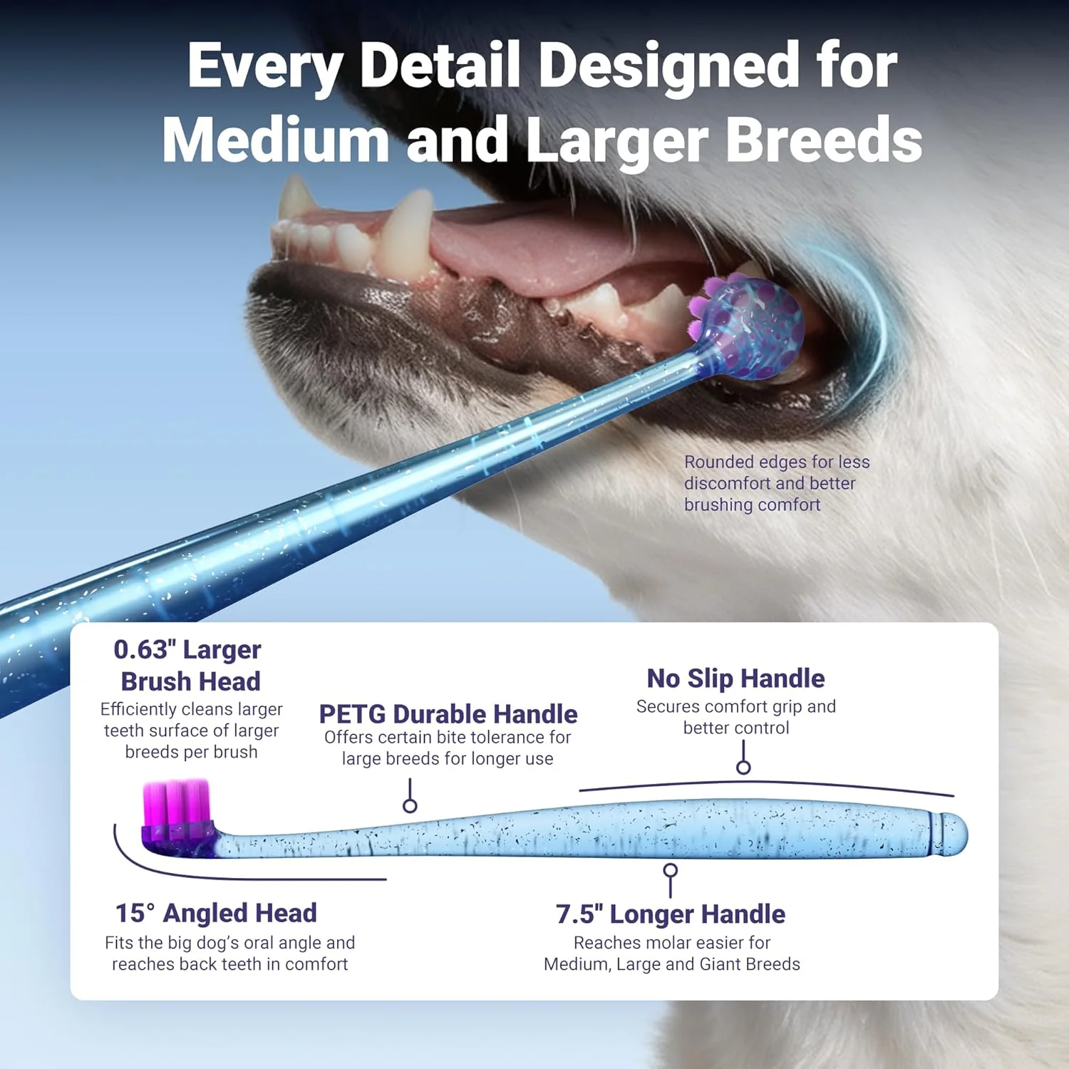 مسواک بزرگ سگ، ست 2 عددی، برس های فوق العاده نرم، مسواک برای سگ های متوسط و بزرگ، نوک برس های فوق العاده نازک 0.01 میلی متری برای تمیز کردن کامل دندان ها، برس تمیز کننده دندان با سر بزرگتر 0.65 اینچی