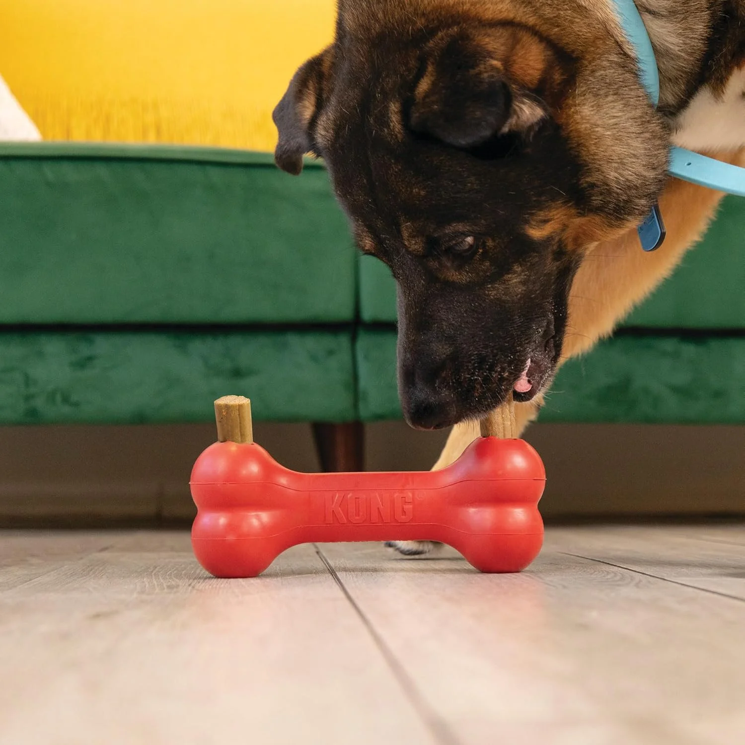 تشویقی جونده KONG Ziggies سایز متوسط/بزرگ برای سگ ها، پشتیبانی از سلامت دهان و دندان