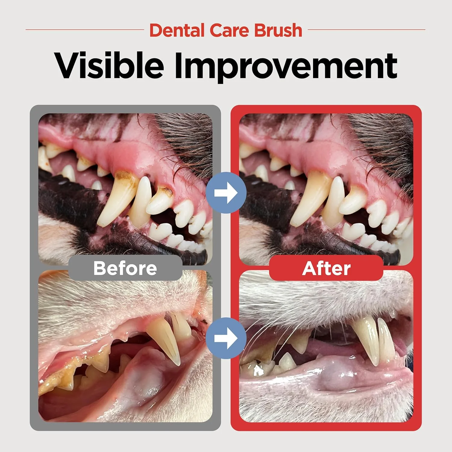 برس مراقبت از دندان حیوانات خانگی JAYU PET - برس دندان گربه، برس دندان برای سگ های کوچک، برس دندان گربه سانان، از بین بردن بوی بد دهان، پلاک و جرم، مسواک زدن دندان گربه و تمیز کردن آسان، موهای نرم