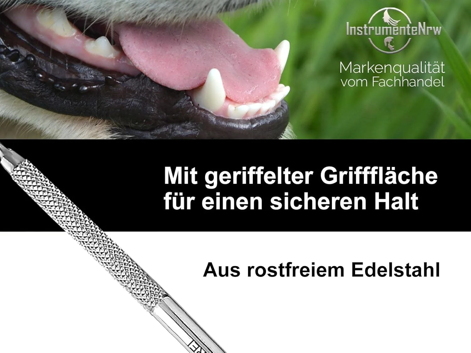 ابزار جرم گیر دندان سگ InstrumenteNRW، تمیز کننده دندان حیوانات خانگی، جایگزین مسواک، استیل ضد زنگ، برای تمیز کردن دندان حیوانات خانگی، مراقبت از دندان، جرم گیر (مدل 22)