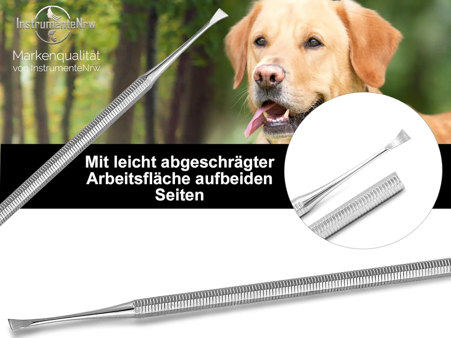 ست جرم گیر دندان سگ InstrumenteNrw، تمیز کننده دندان حیوانات، 2 تکه، استیل ضد زنگ، جرم گیر دندان