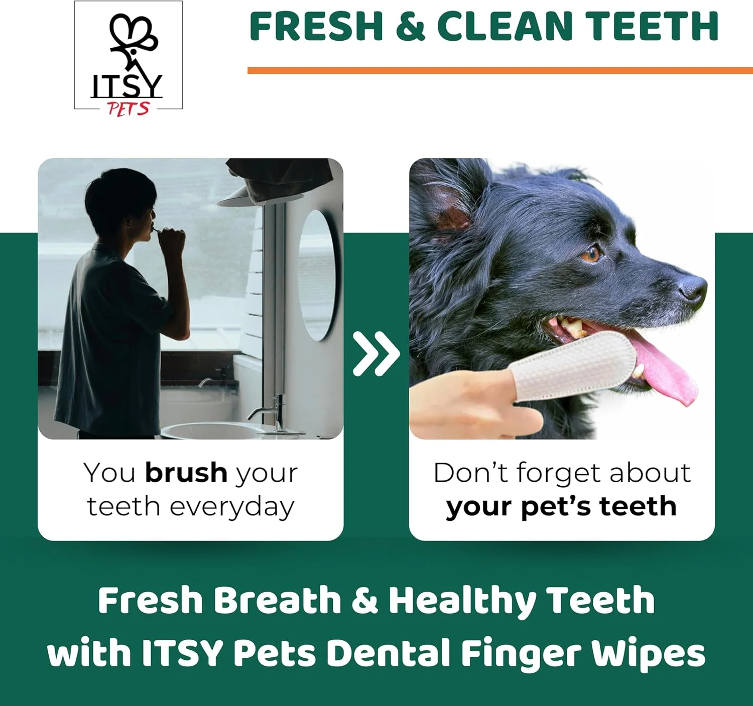 دستمال مرطوب انگشتی دندان حیوانات خانگی ITSY Pets – تنفس تازه و از بین بردن پلاک برای سگ ها و گربه ها – وگان، بدون تست حیوانی و متعادل از نظر pH – 50 عدد