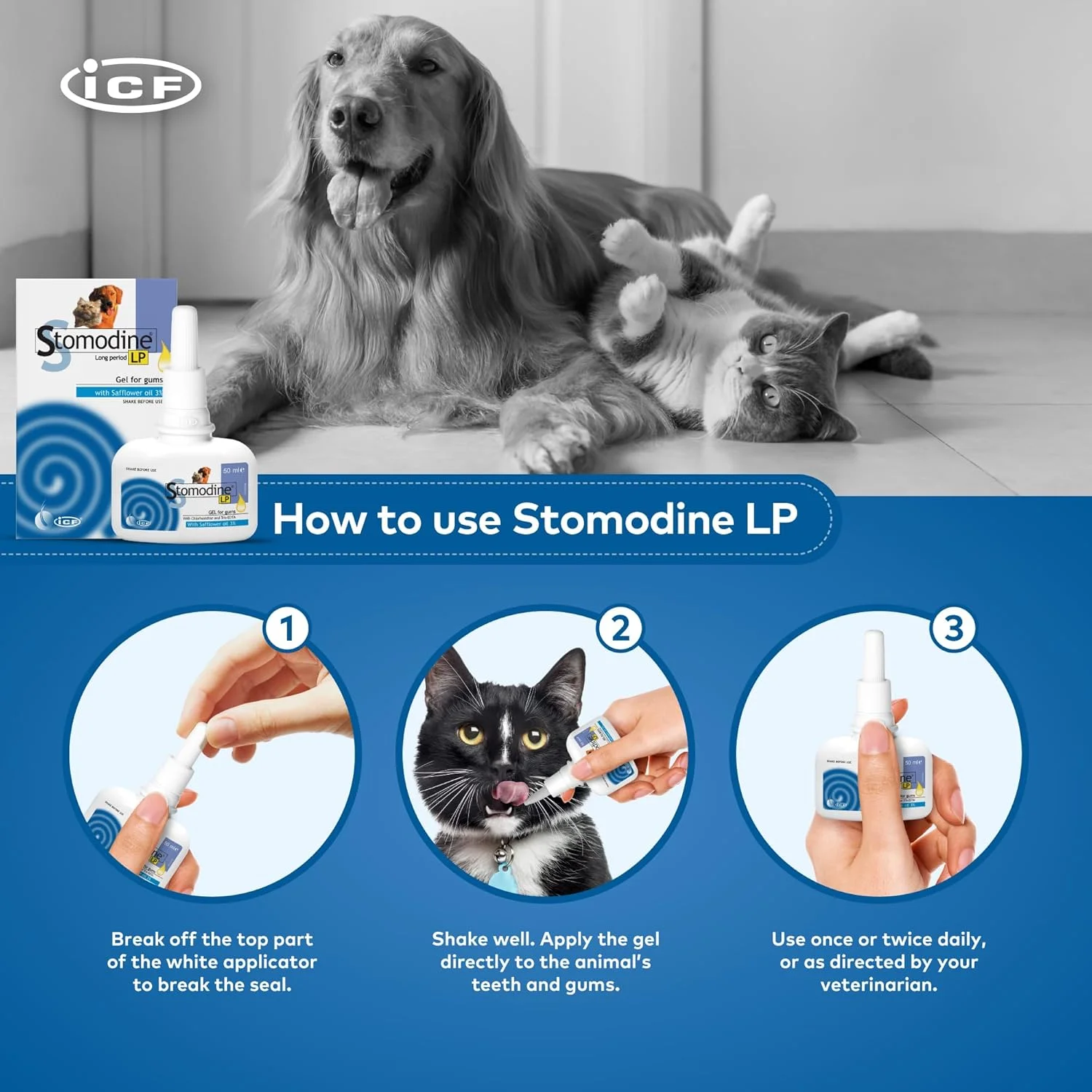 ژل لثه سگ و گربه آی سی اف مدل Stomodine Lp حجم 50 میلی لیتر