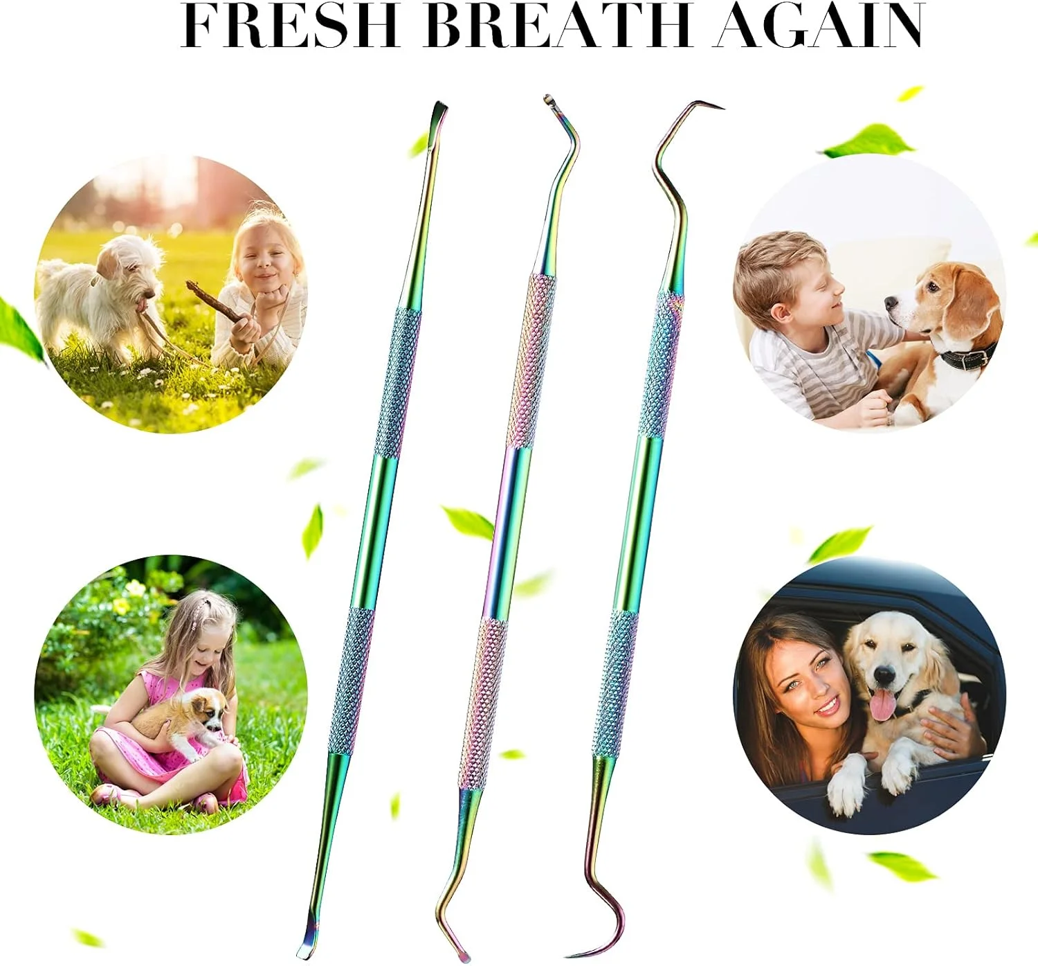 هاتوپ، ست ۳ عددی ابزار جرم گیری دندان سگ و گربه، دو سر استیل ضد زنگ (رنگین کمانی)