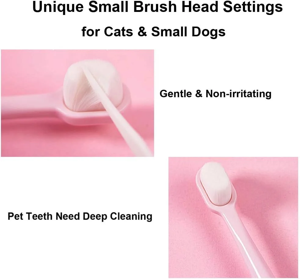 مسواک گربه با سر نرم مینی، برس متراکم برای تمیز کردن عمیق دندان حیوانات خانگی، مراقبت ایمن و موثر از دهان و دندان، مسواک سگ کوچک برای رفع بوی بد دهان (صورتی، آبی)