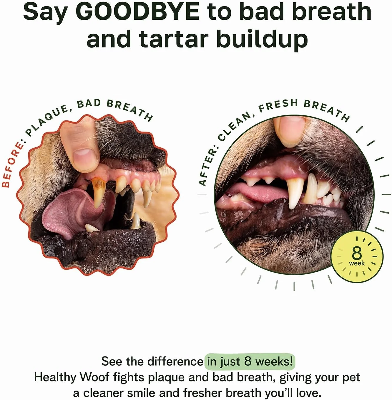 پودر دندان سگ - مراقبت کامل از دهان و دندان با طعم آب قلم استخوان، پودر تمیز کننده دندان سگ، از بین برنده جرم دندان، خوشبو کننده دهان، پشتیبانی از معده حساس، مراقبت از دندان بدون نیاز به مسواک، 120 گرم، 60 پیمانه