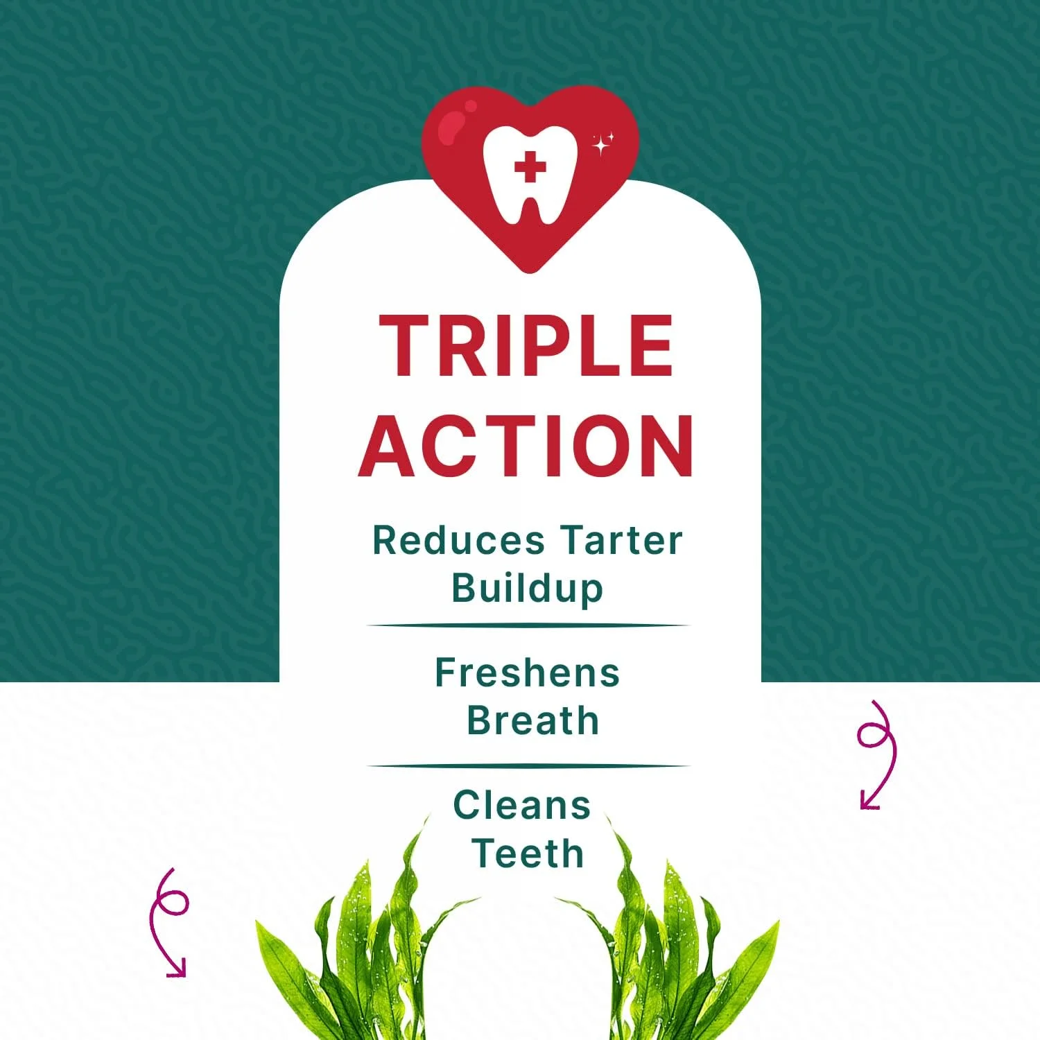 تشویقی سگ گوفی تیلز مدل استیک دندانی فعال 660 گرمی (بسته 3 عددی 220 گرمی)، تشویقی گیاهی سگ، استیک دندانی برای سگ ها، استیک جویدنی برای سگ ها، تشویقی سگ برای سگ های بالغ و توله سگ ها، استیک جویدنی سگ (جلبک دریایی، بسته 3 عددی)