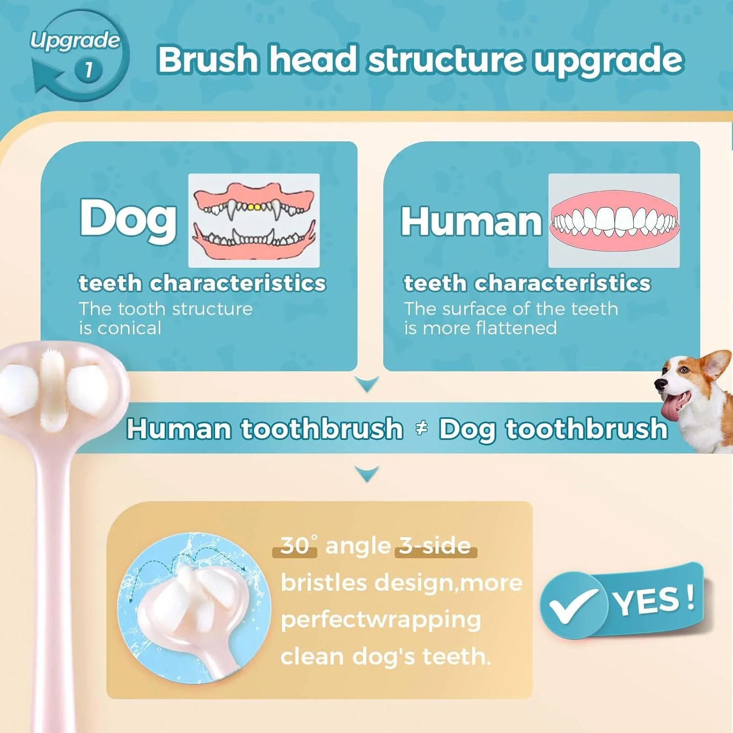 مسواک سگ سه طرفه، بسته 2 عددی، مسواک توله سگ با فناوری منحصربه‌فرد برس، مراقبت از دهان و دندان حیوانات خانگی، مناسب برای سگ‌های متوسط و کوچک