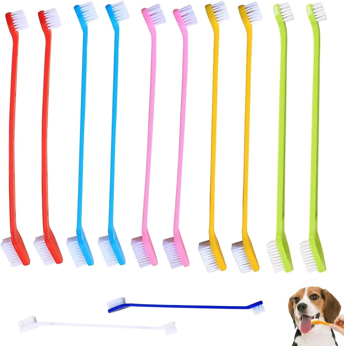 مجموعه ۱۲ عددی مسواک سگ و گربه، شامل ۱۰ عدد مسواک دو سر با دسته بلند و ۲ عدد مسواک کوچک برای تمیز کردن دندان، مناسب برای مراقبت از دندان توله سگ و گربه