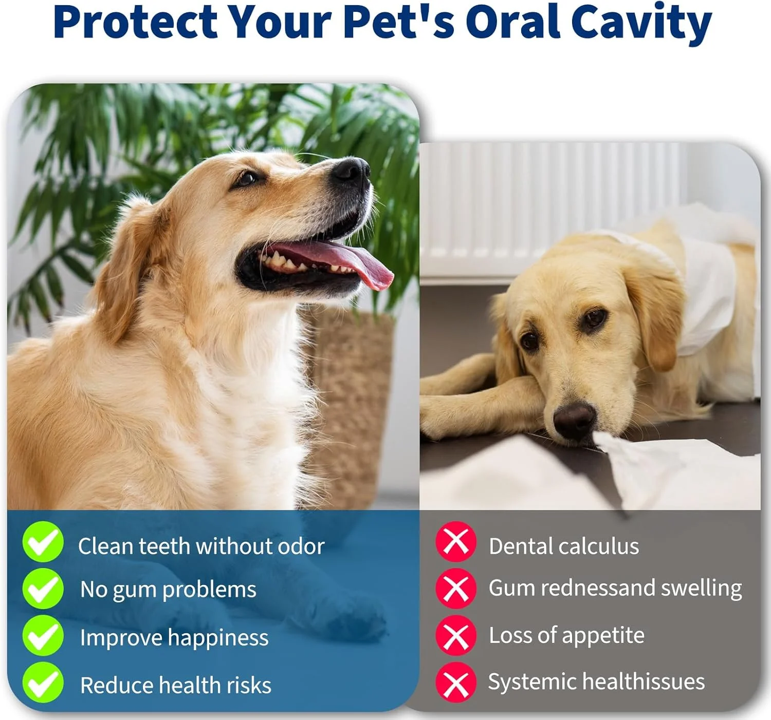 دستگاه جرم گیر دندان سگ - تمیز کننده دندان صوتی حیوانات خانگی با چراغ LED - کیت تمیز کردن دندان برای جرم و لکه - مناسب برای سگ ها (سفید)