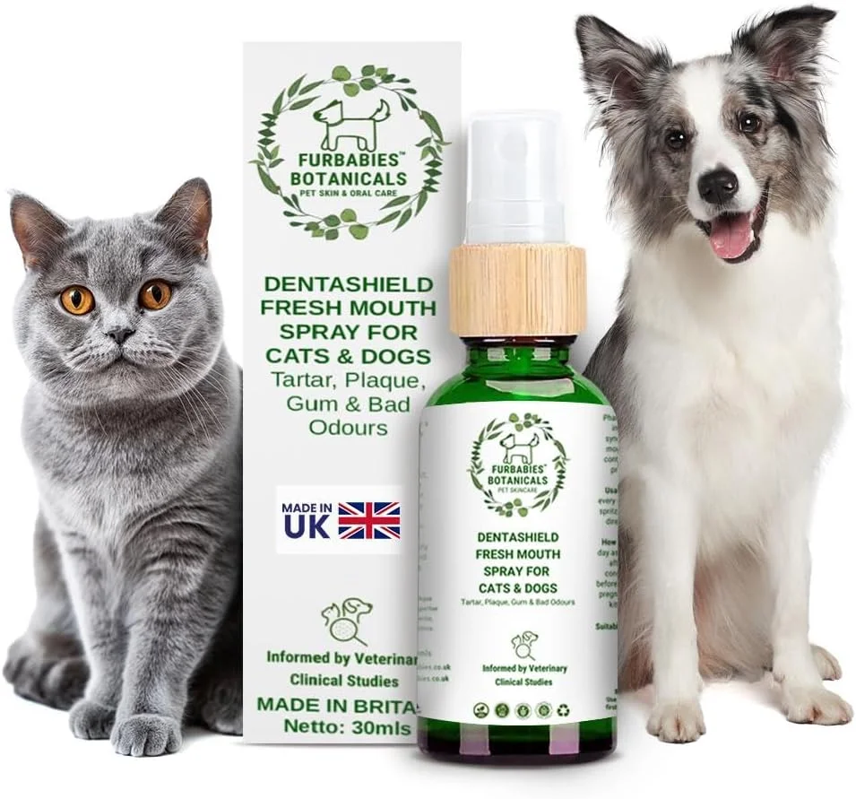 محلول طبیعی تمیز کننده دندان گربه فور بیبیز، محافظ دندان، لثه های سالم، خوشبو کننده دهان، مراقبت از دندان گربه، ضد باکتری، ضد قارچ، جرم گیر و پلاک، آخرین تحقیقات، فرمول پیشرفته