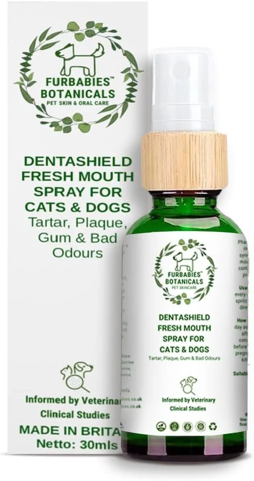 محلول طبیعی تمیز کننده دندان گربه فور بیبیز، محافظ دندان، لثه های سالم، خوشبو کننده دهان، مراقبت از دندان گربه، ضد باکتری، ضد قارچ، جرم گیر و پلاک، آخرین تحقیقات، فرمول پیشرفته