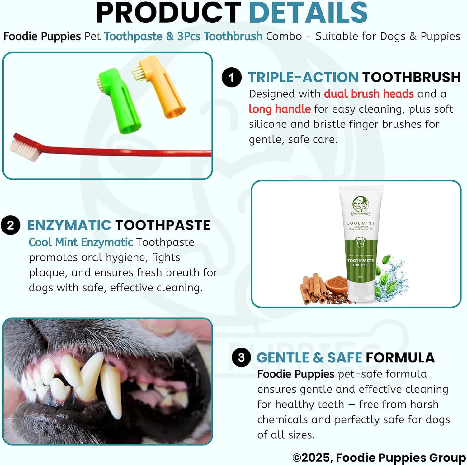 مجموعه مراقبت از دندان سگ ها Foodie Puppies - (خمیر دندان نعنایی - 100 گرم + 3 عدد مسواک) | تسکین دهنده لثه های ملتهب، از بین برنده بوی بد دهان، حاوی روغن میخک و دارچین برای سگ ها و توله سگ ها