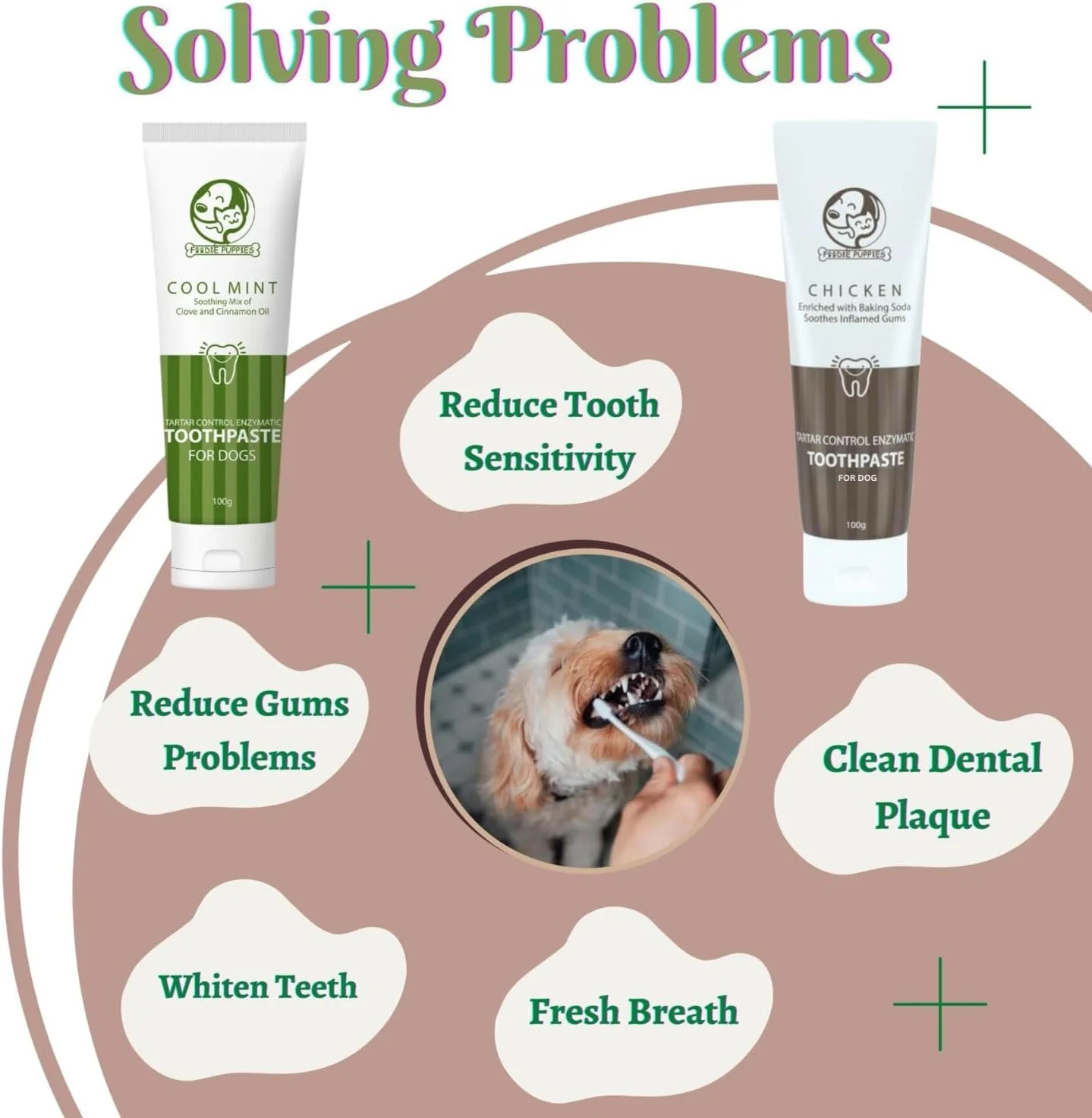 مجموعه مراقبت از دهان و دندان سگ و گربه فودی پاپی شامل خمیر دندان (طعم مرغ و نعناع خنک، 100 گرم) | ترکیبی تسکین دهنده از روغن میخک، روغن دارچین و خمیر دندان آنزیمی کنترل کننده جرم دندان، مناسب برای همه سگ ها و گربه ها