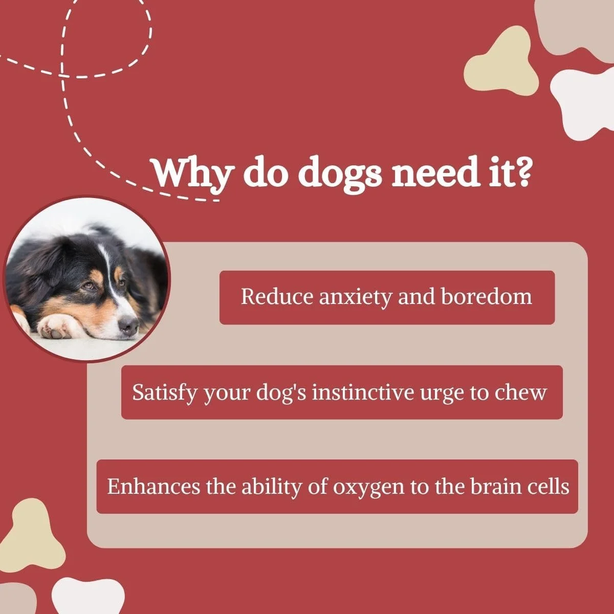 استخوان های جویدنی سگ Foodie Puppies مدل Twisted BarkSticks (2 کیلوگرم) استخوان های جویدنی سگ Foodie Puppies مدل Twisted BarkSticks (2 کیلوگرم)