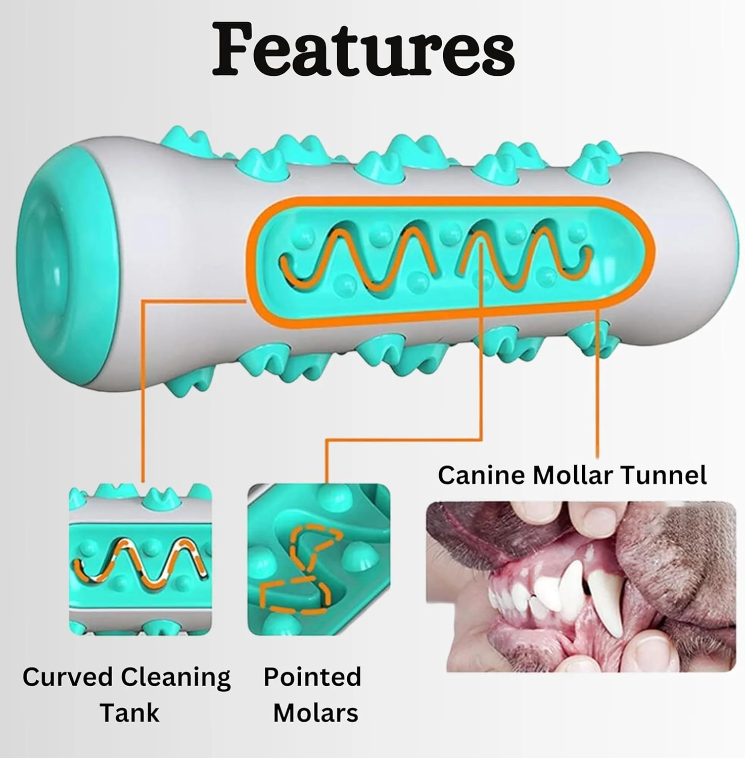 مجموعه مراقبت از دندان سگ 2 در 1 Foodie Puppies شامل خمیر دندان CoolMint - 100 گرمی و مسواک دندانی لاستیکی | ترکیبی تسکین دهنده از روغن میخک، دارچین و استخوان پخش کننده خوراکی برای سگ های کوچک و متوسط