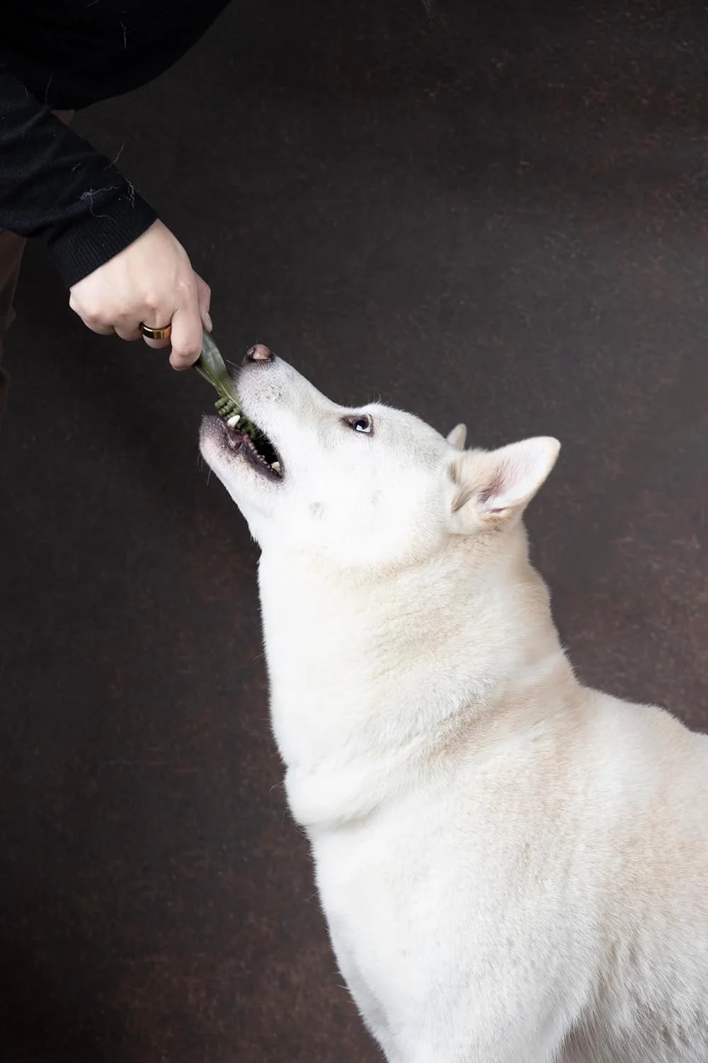 تشویقی سگ فلامینگو - مسواک سبزیجات با طعم سیب - 160 گرم - بدون گلوتن - کم کالری - اسنک مراقبت از دندان