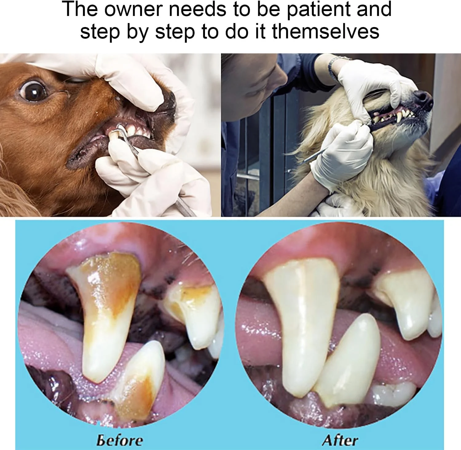 ابزار جرم گیر دندان سگ، پاک کننده دندان، دو سر، مراقبت از دندان، 4 ابزار حرفه ای تمیز کننده دندان، ساخته شده از استیل ضد زنگ