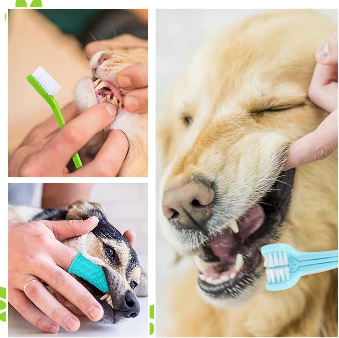مجموعه مسواک سگ، 2 عدد مسواک سگ سه سر، 3 عدد مسواک انگشتی، 2 عدد مسواک دو سر، برای حیوانات خانگی کوچک، متوسط و بزرگ، مجموعه تمیز کننده دندان چند زاویه ای