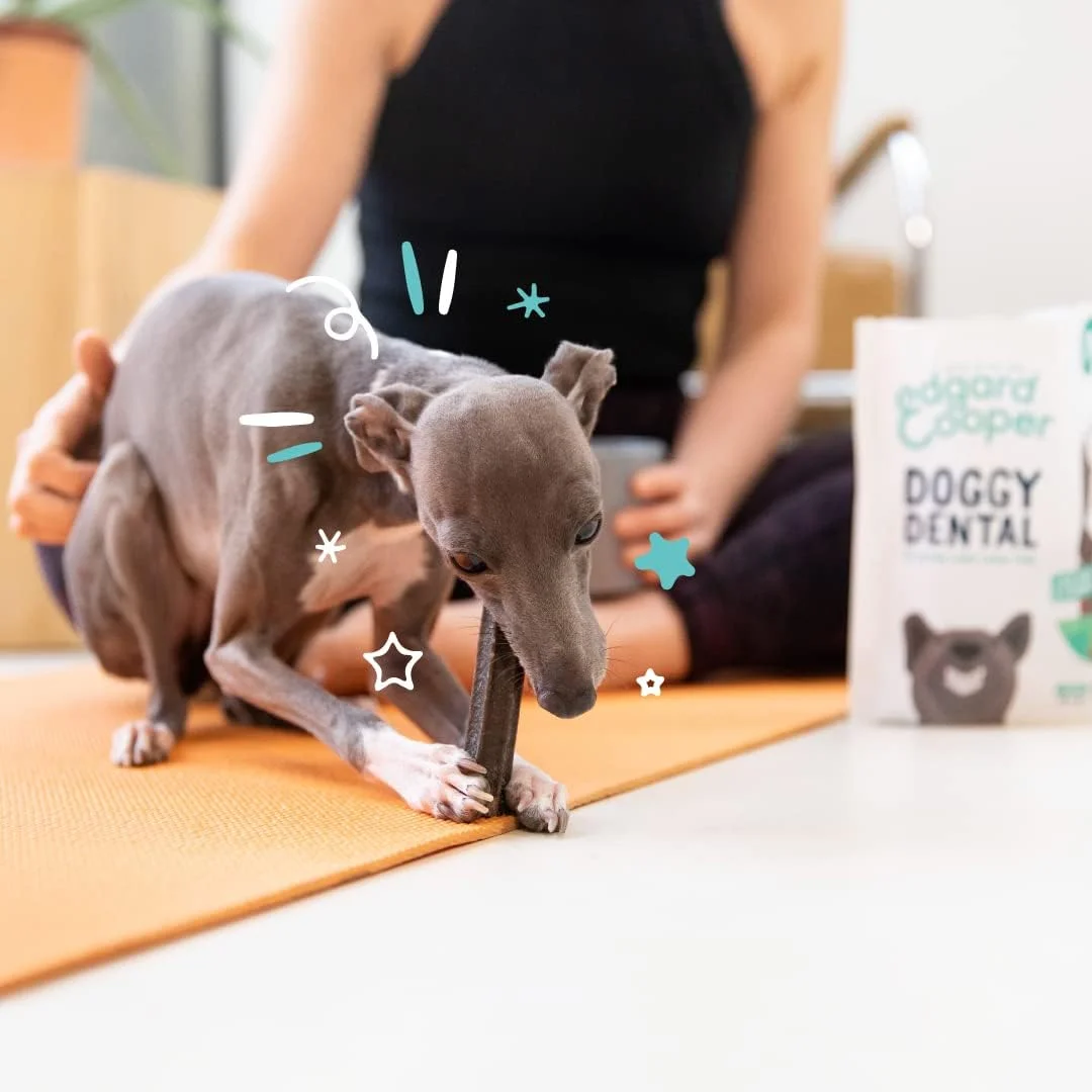 تشویقی سگ ادگارد کوپر، استیک دندانی کوچک - نعناع و توت فرنگی - (بسته 8 عددی 7 استیکی)، استیک جویدنی طبیعی سگ، بهداشت دهان و دندان، یک عدد در روز، کم کالری، جویدن طولانی، تنفس تازه