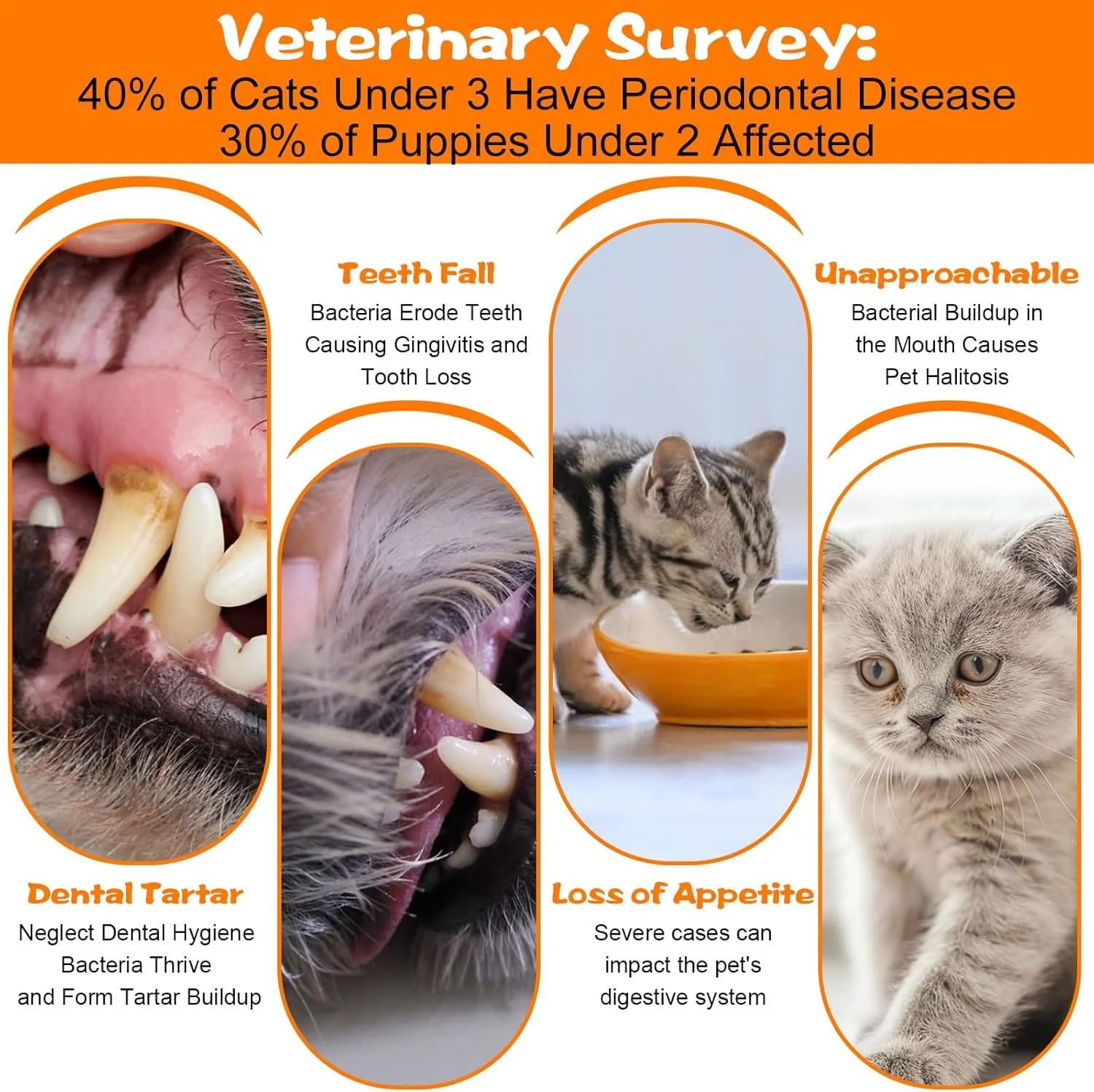 ست ۵ عددی مسواک کوچک سگ و گربه با سر میکرو، کاربری آسان، تمیز کننده چند زاویه ای، مسواک های گرد و نوک تیز، مسواک زدن دندان گربه، صورتی زرد آبی