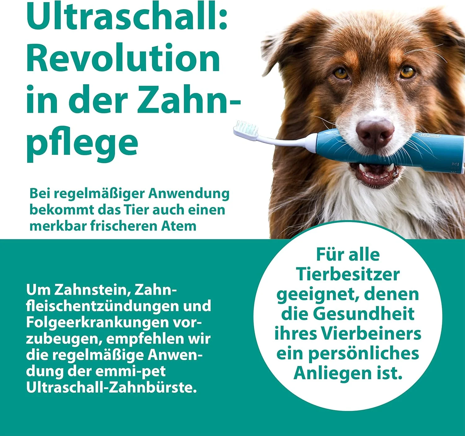 سری برس کوچک التراسونیک Emmi-pet A1 (S) بسته 2 عددی، مناسب برای مسواک التراسونیک Emmi-Pet 1.0 & 2.0، جلوگیری از جرم دندان، مبارزه با بوی بد دهان و بیماری لثه - بی صدا و بدون نیاز به سایش