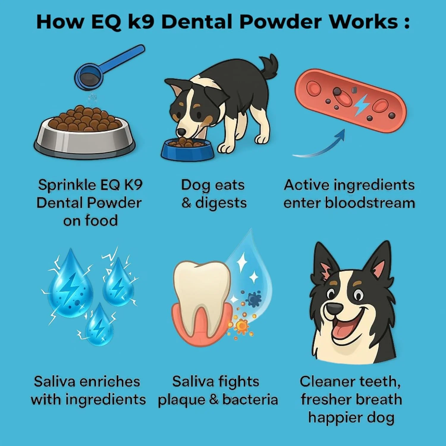 پودر دندان سگ EQ K9 – از بین برنده طبیعی پلاک و جرم | خوشبو کننده تنفس و پشتیبانی از سلامت لثه | بدون نیاز به مسواک زدن | تمیز کردن دندان حیوانات خانگی | 70 گرم