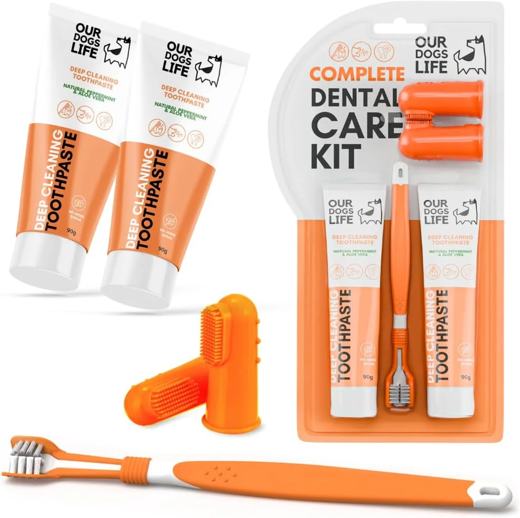 کیت مراقبت از دندان سگ DogsLife، ۱۰۰ گرم