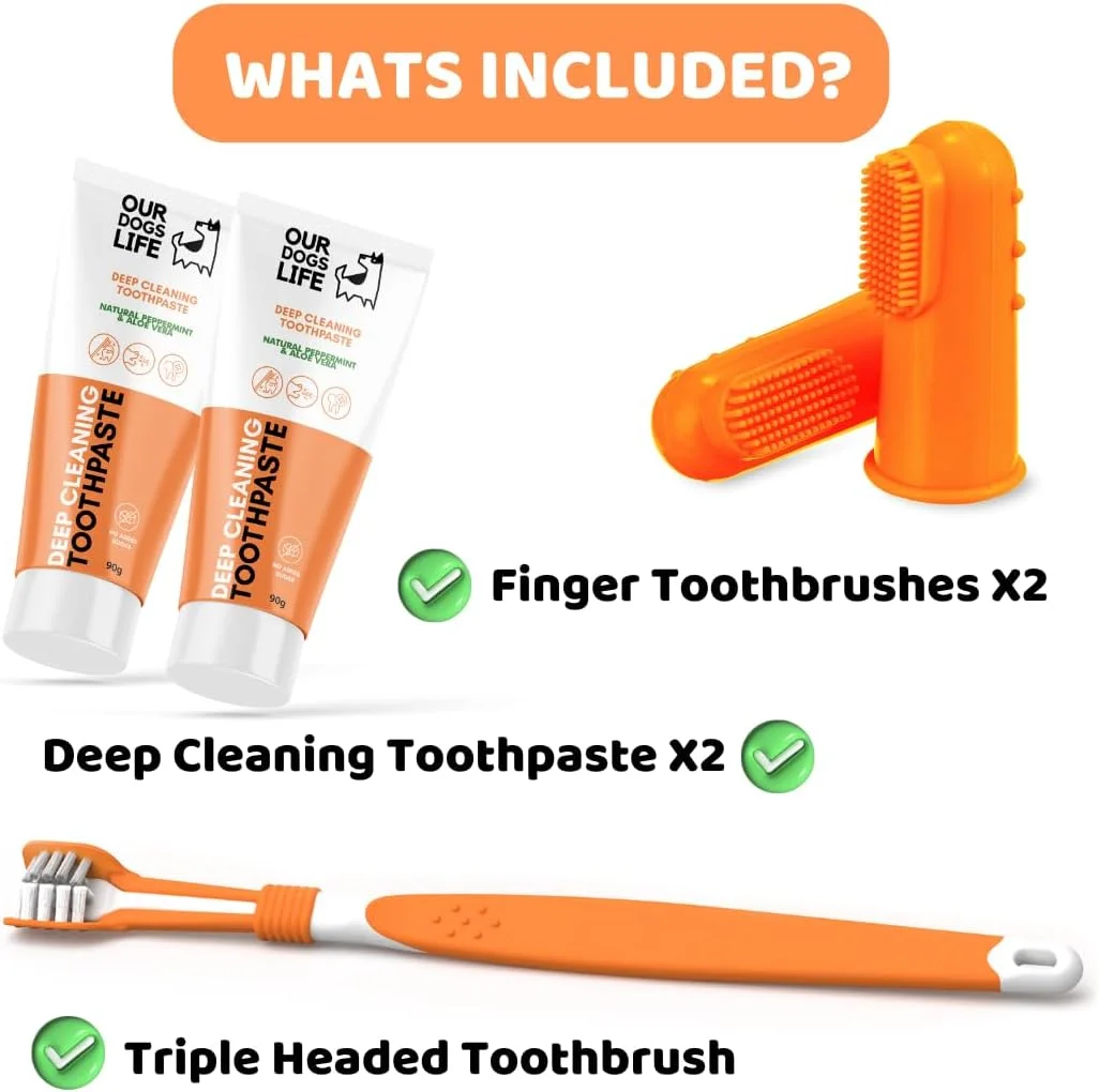 کیت مراقبت از دندان سگ DogsLife، ۱۰۰ گرم