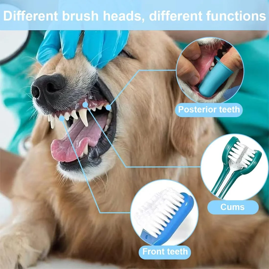 ست مسواک سگ، 2 عدد مسواک سگ با سه سر، 2 عدد مسواک دو سر، 4 عدد مسواک انگشتی، مسواک برای سگ ها، مسواک سه سر برای گربه ها و سگ های کوچک
