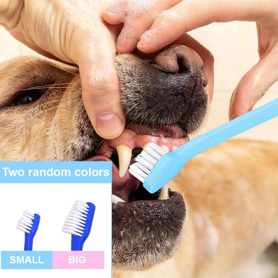 ست مسواک سگ، 2 عدد مسواک سگ با سه سر، 2 عدد مسواک دو سر، 4 عدد مسواک انگشتی، مسواک برای سگ ها، مسواک سه سر برای گربه ها و سگ های کوچک