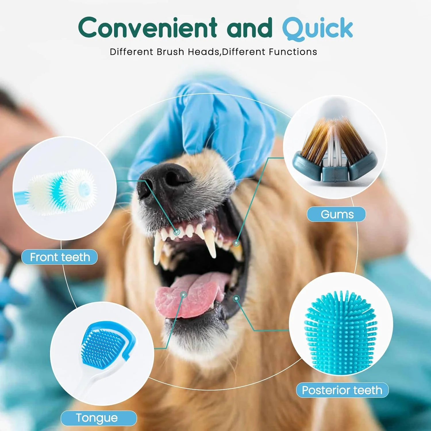 مسواک انگشتی سگ، مسواک سیلیکونی 360 درجه برای مراقبت از دندان، تمیز کردن آسان دندان سگ، گربه و توله سگ، بسته 8 عددی
