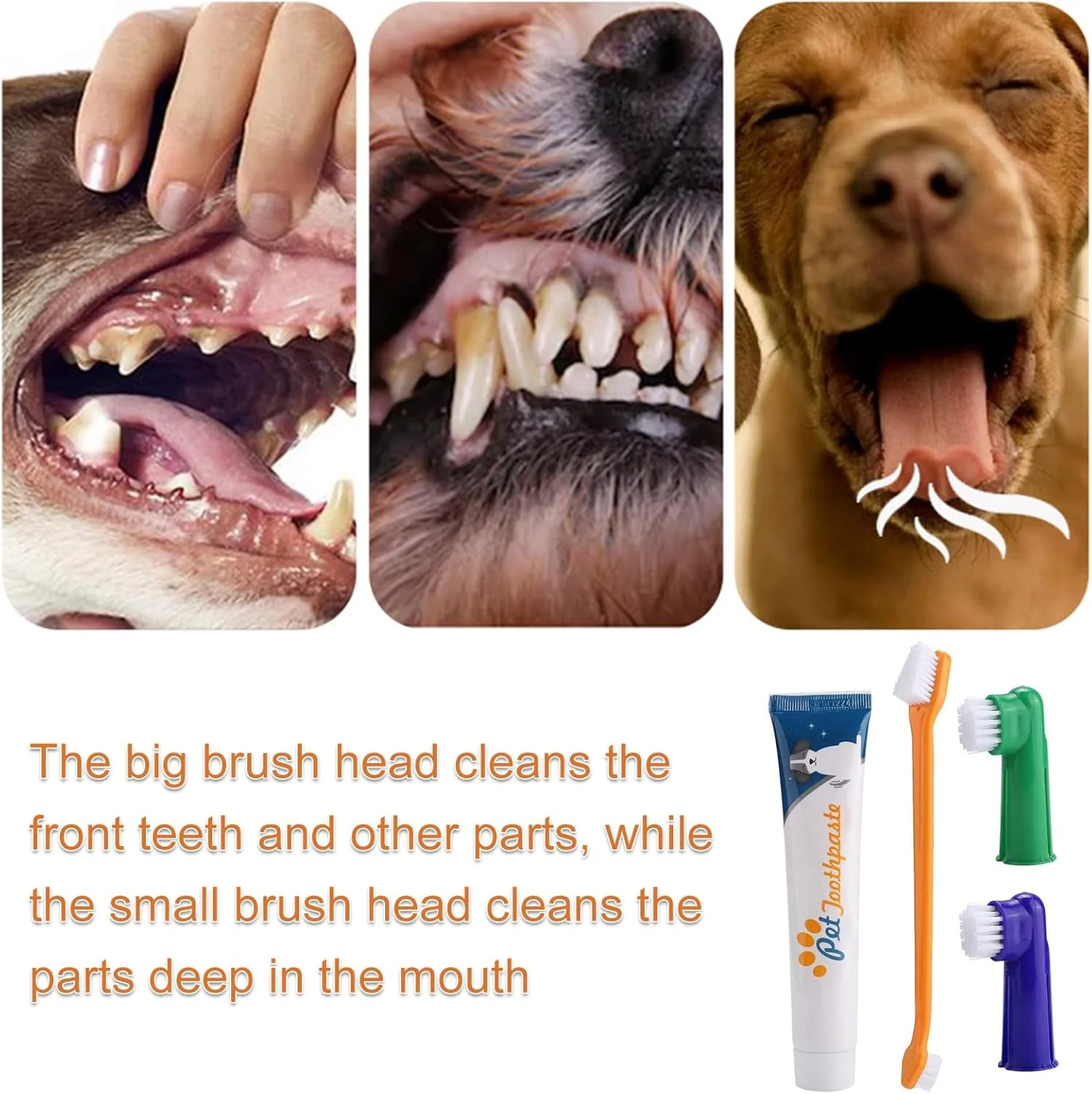 مسواک سگ، مسواک و خمیر دندان برای سگ ها، ست تمیز کننده دندان سگ، کیت مراقبت از دندان سگ، طعم وانیل