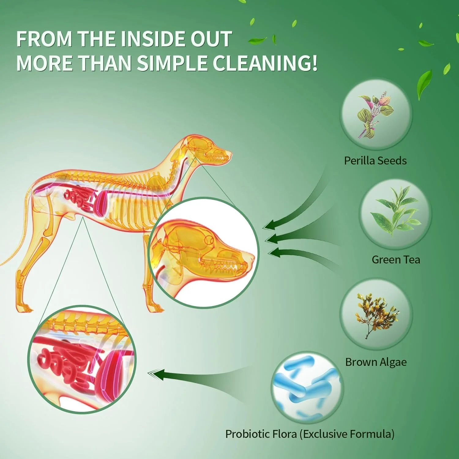 پودر بهداشت دهان و دندان سگ، پودر تمیز کننده دندان سگ، تنفس تازه، مراقبت از دندان، تمیز کردن دندان، خوشبو کننده دهان، بهبود سلامت دهان و دستگاه گوارش، مناسب برای سگ های بزرگ و کوچک