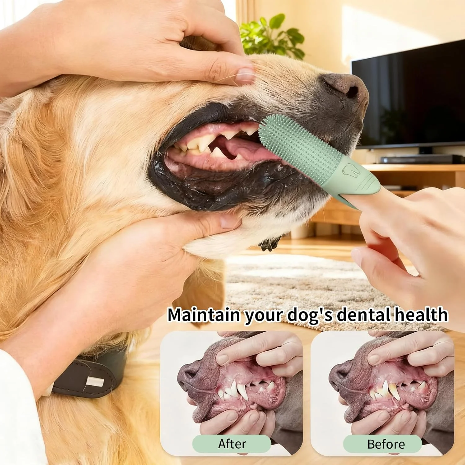 مسواک انگشتی سگ و گربه | برس های سیلیکونی نرم 360 درجه برای سگ ها و گربه ها | از بین برنده موثر پلاک و جرم | مبارزه با بوی بد دهان | شامل جعبه مسافرتی بهداشتی - بسته 2 عددی