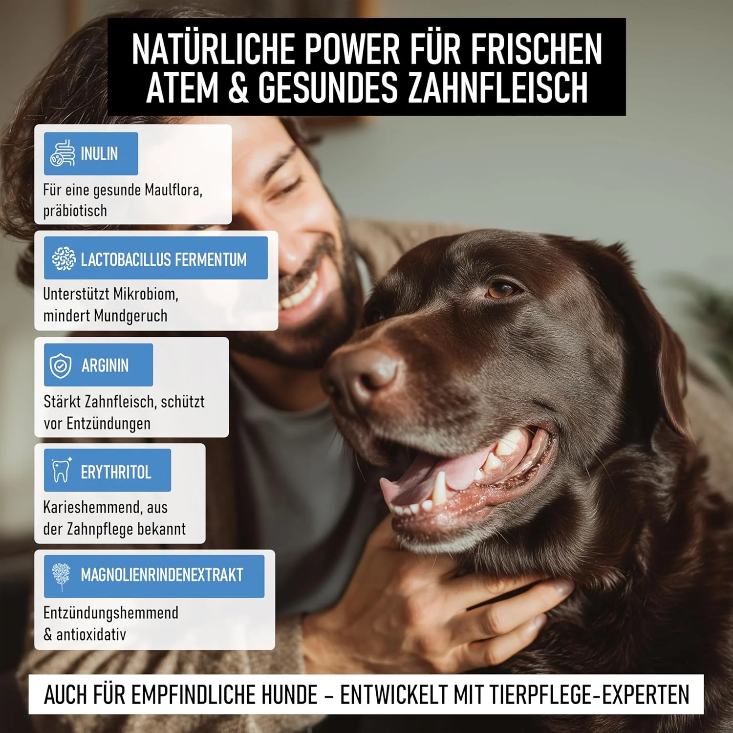 اسپری دندان سگ و گربه 100% طبیعی 200 میلی لیتر - مراقبت از دندان، اسپری دندان ضد بوی بد دهان و برای پیشگیری از جرم، تمیز کردن دندان و از بین بردن جرم گلدن پتس