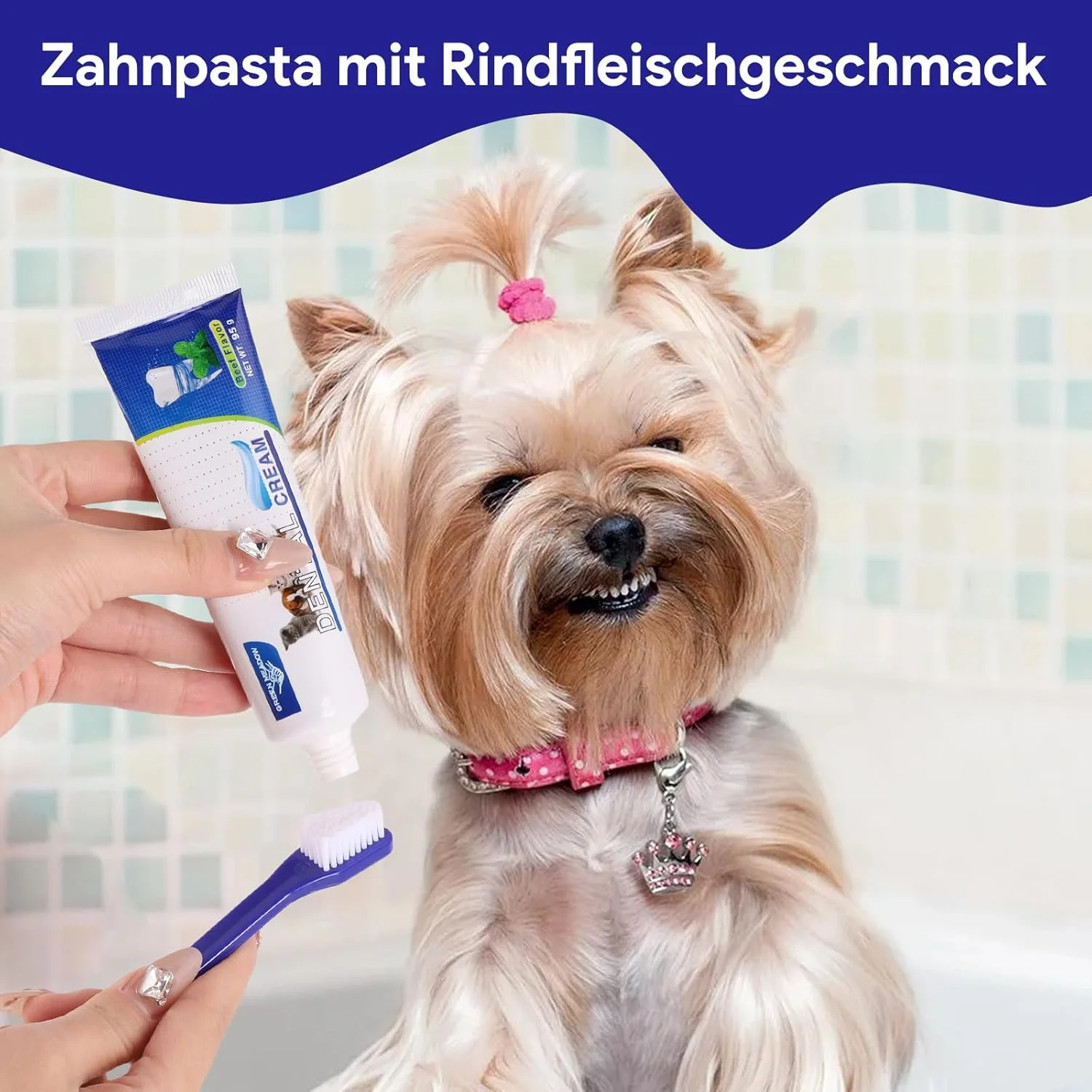 مجموعه مراقبت از دندان سگ، مسواک انگشتی سگ قابل استفاده مجدد، مسواک سگ و خمیر دندان سگ، خمیر دندان سگ ضد جرم، مسواک سگ، مراقبت از دندان سگ