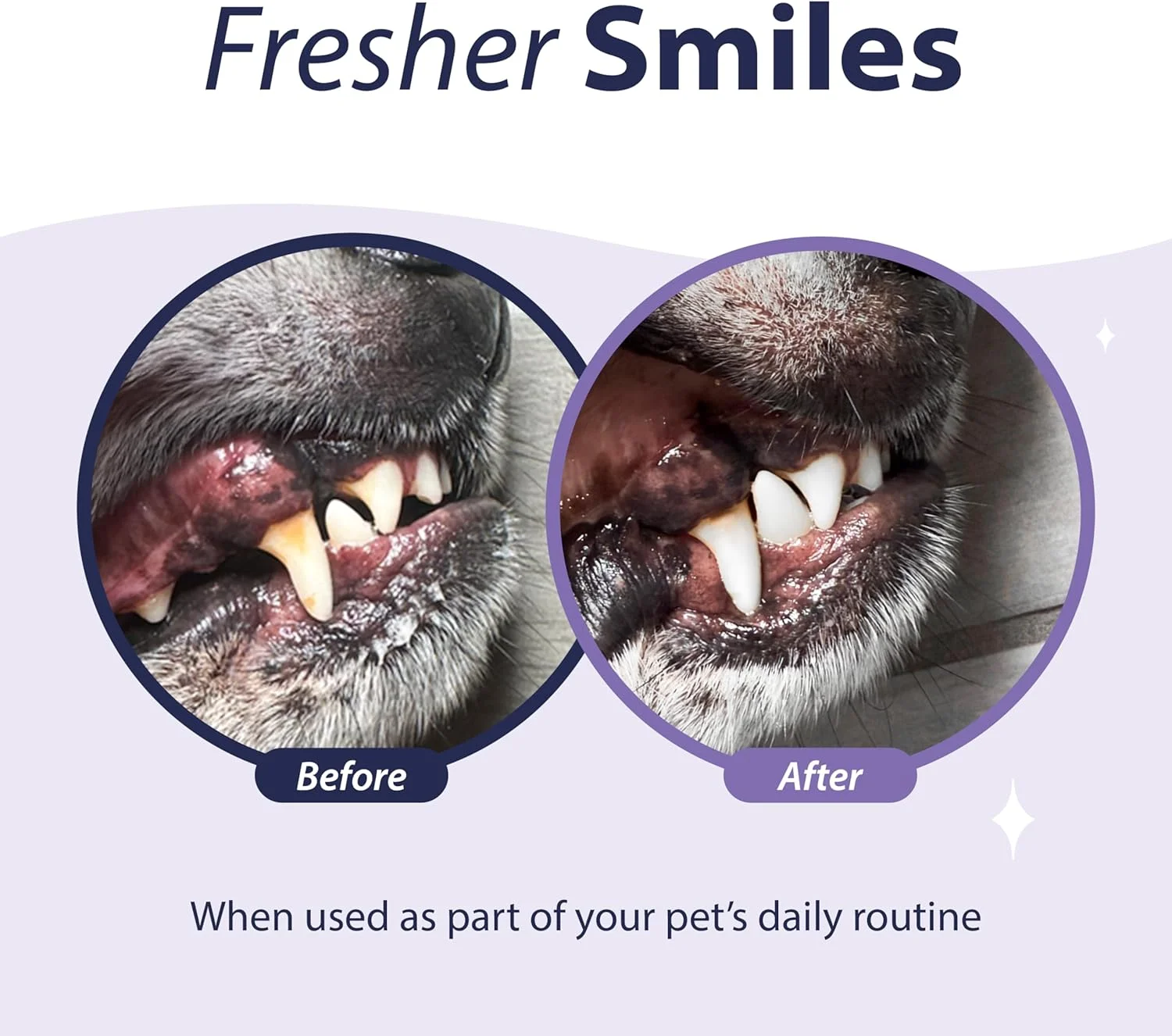 ژل آنزیمی دنتال فرش برای سگ ها، خمیر دندان سگ – به طور موثر دندان ها را تمیز می کند – بوی بد دهان را از بین می برد و جرم و پلاک دندان سگ را کاهش می دهد، FG00030