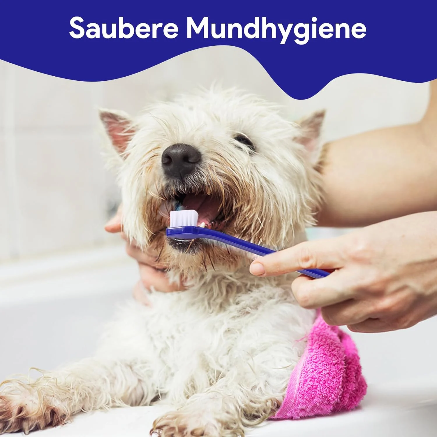 مجموعه مراقبت از دندان سگ، مسواک انگشتی سگ قابل استفاده مجدد، مسواک سگ و خمیر دندان سگ، خمیر دندان سگ ضد جرم، مسواک سگ، مراقبت از دندان سگ