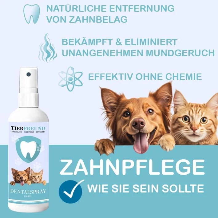 اسپری دندان سگ و گربه - 100% طبیعی و موثر در برابر پلاک و جرم - برای تنفس تازه و رفع بوی بد دهان - مراقبت و تمیز کردن دندان بدون برس