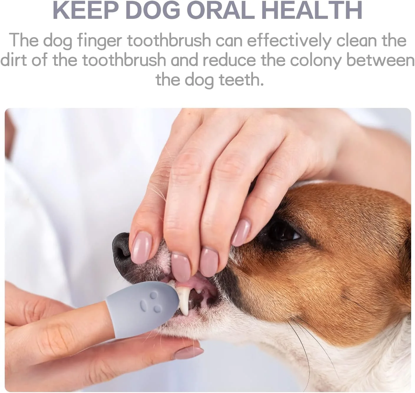 مسواک انگشتی سگ CONSIO، ساخته شده از سیلیکون با کیفیت غذایی، تمیز کردن آسان دندان، مراقبت از دندان برای توله سگ ها، گربه ها و حیوانات خانگی کوچک