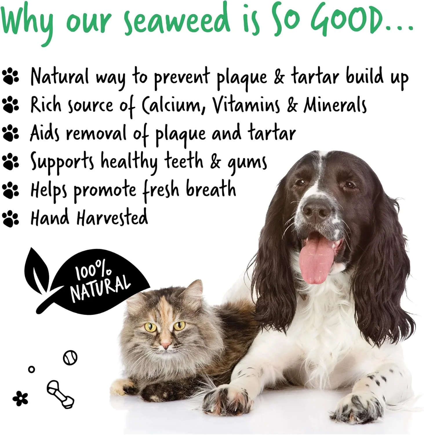 از بین برنده پلاک دندان باگالوگز برای سگ و گربه - 200 گرم