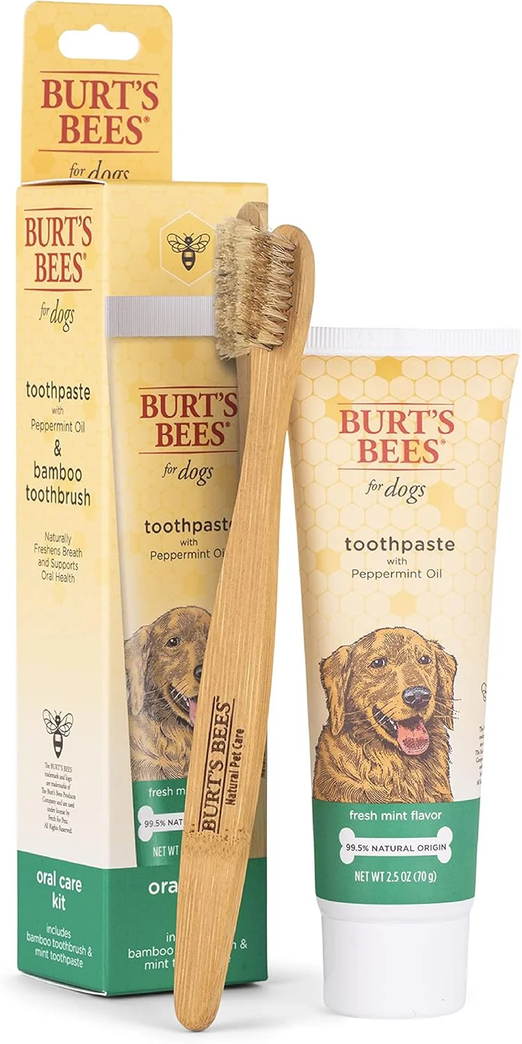 مجموعه مراقبت دهان و دندان طبیعی سگ ها از BURT'S BEES FOR PETS | کیت دندان سگ با خمیر دندان و مسواک بامبو | مسواک و خمیر دندان سگ با روغن پیچ امین الدوله و نعناع، طعم نعناع تازه (70 گرم)